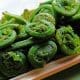 Cooked-Fiddleheads