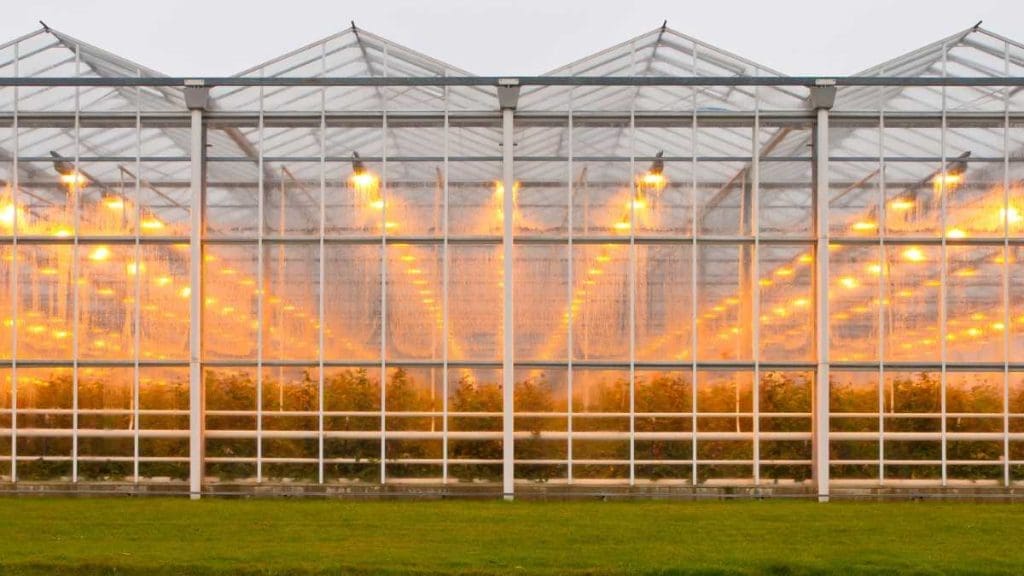greenhouse