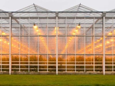 greenhouse