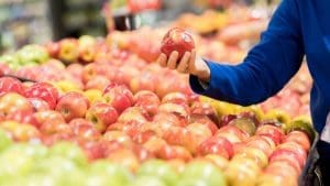 apples-at-the-grocery-store
