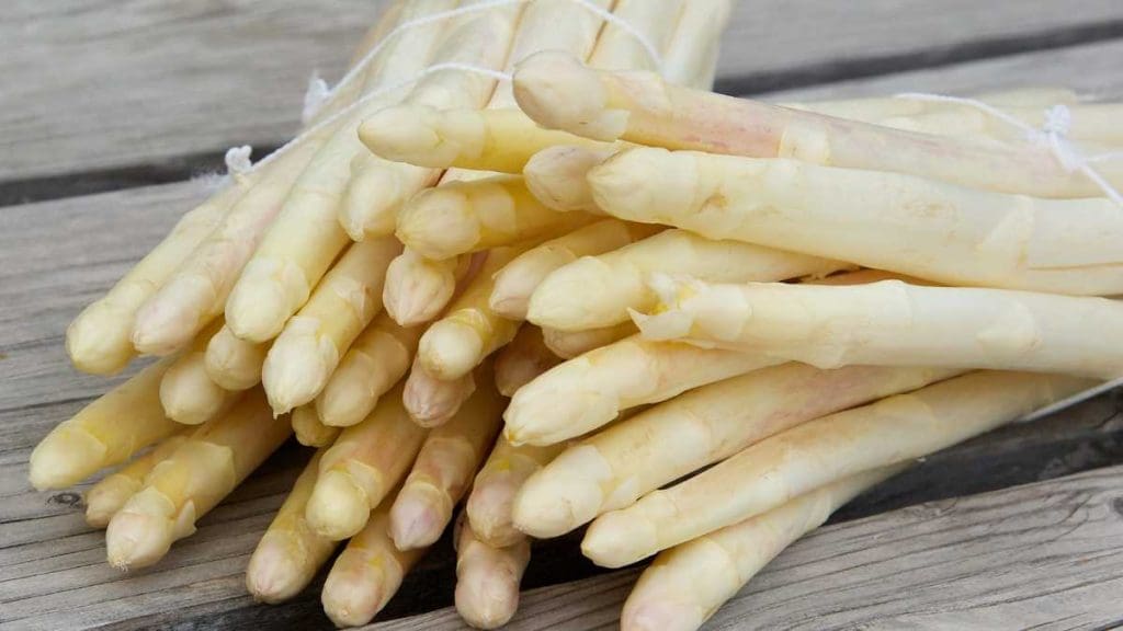 white-asparagus