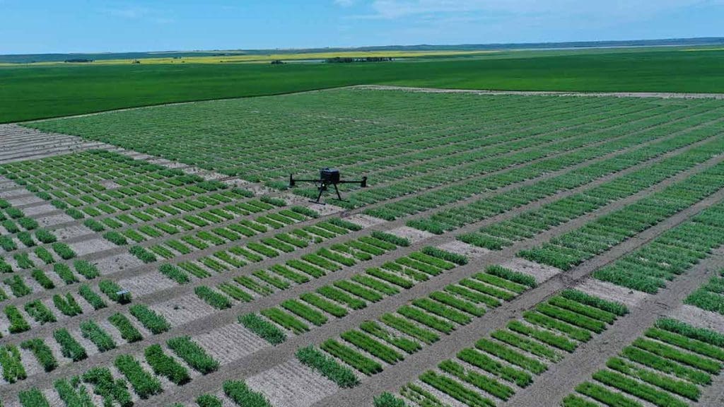 plots with digital and Sustainable Agriculture