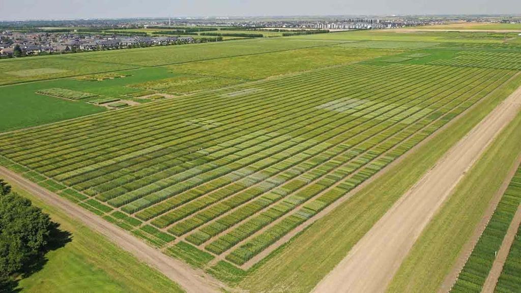 digital and Sustainable Agriculture fields