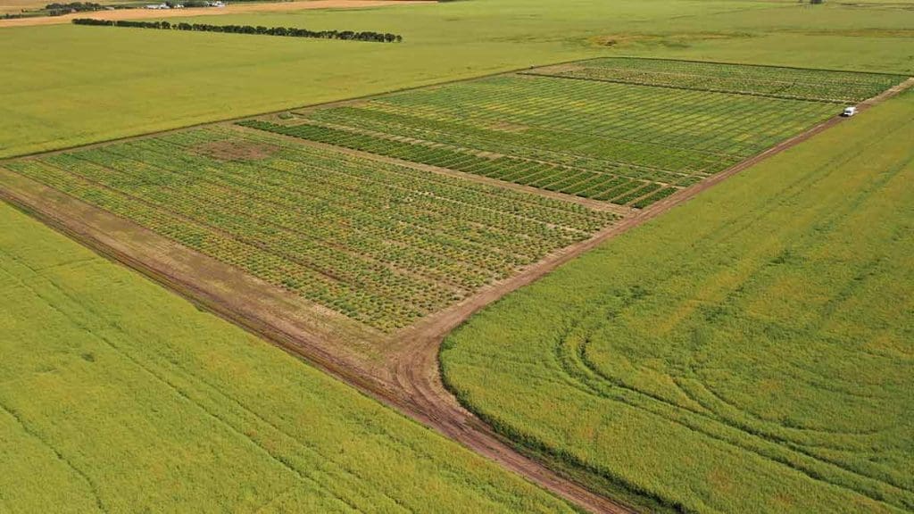 fields with digital and Sustainable Agriculture