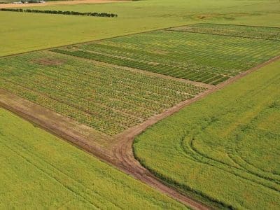 fields with digital and Sustainable Agriculture