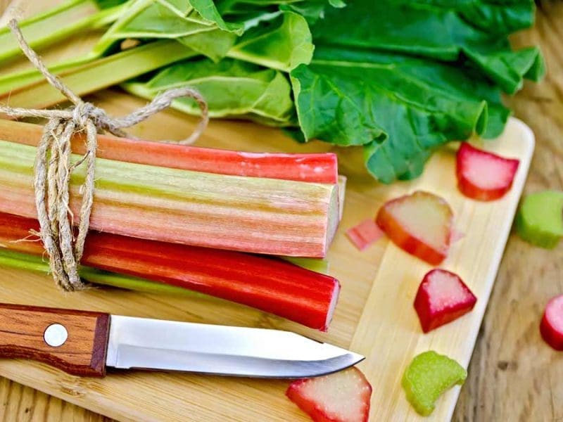 Field-Rhubarb