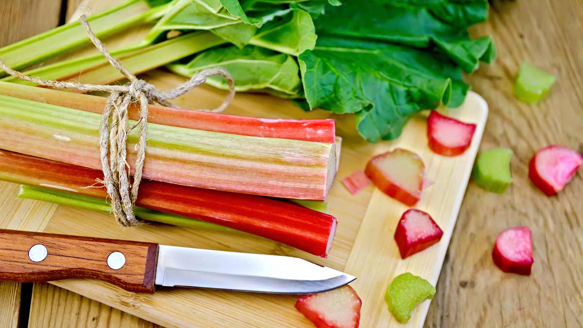 Field-Rhubarb