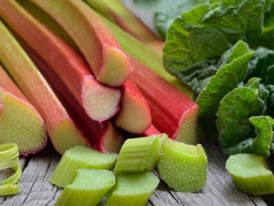 Rhubarb Variety