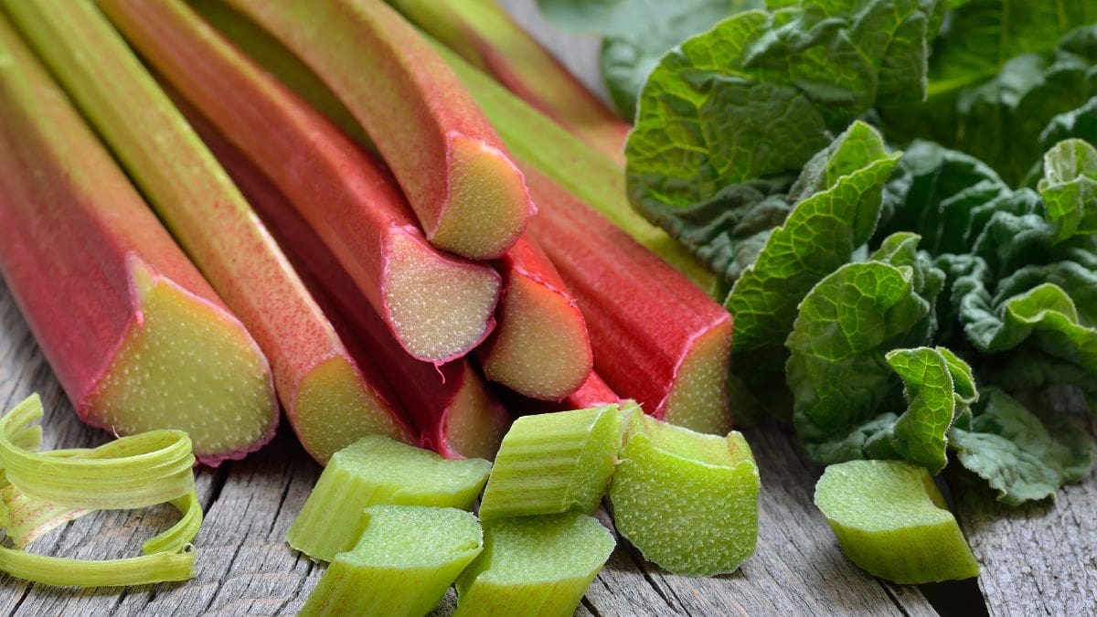 Rhubarb Variety