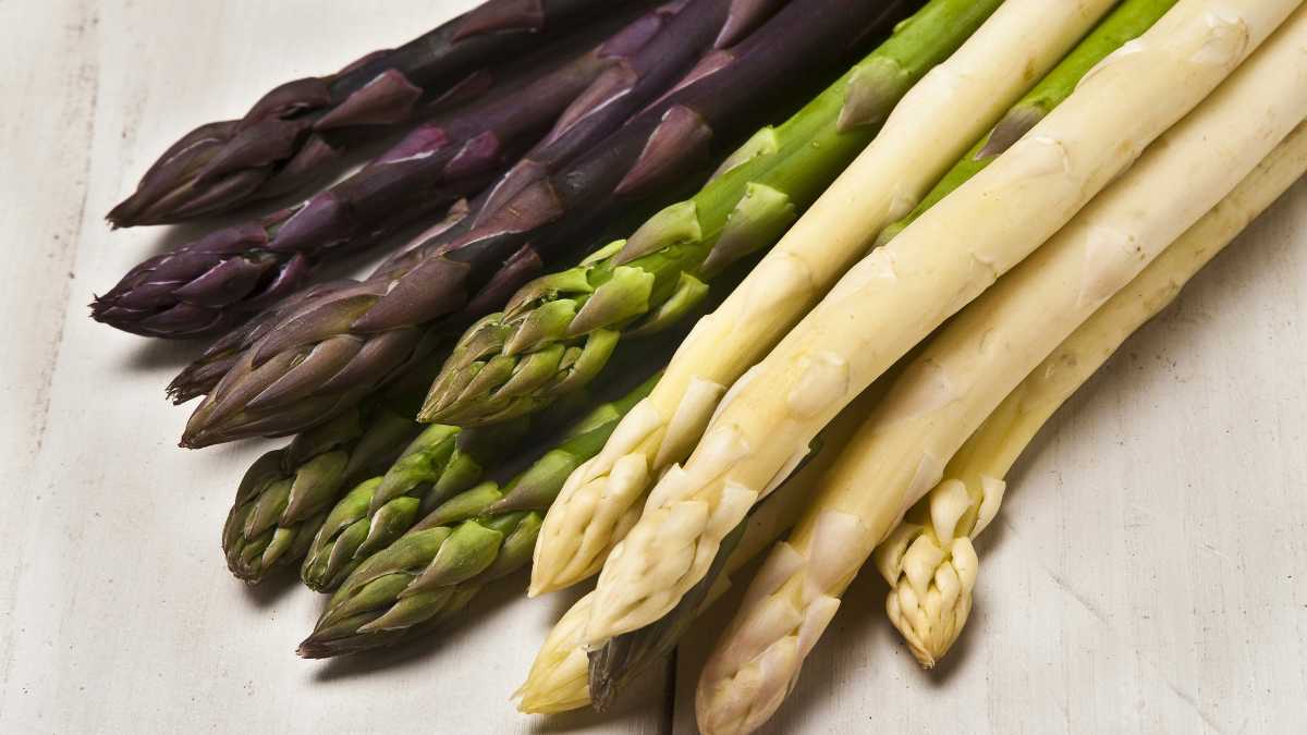 Types of asparagus