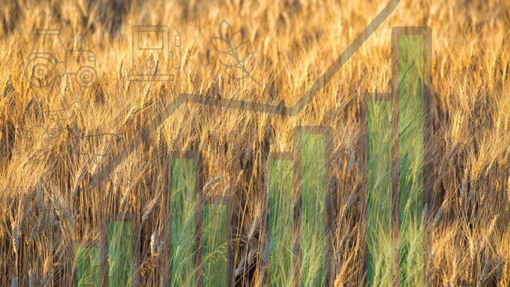 economics of farming