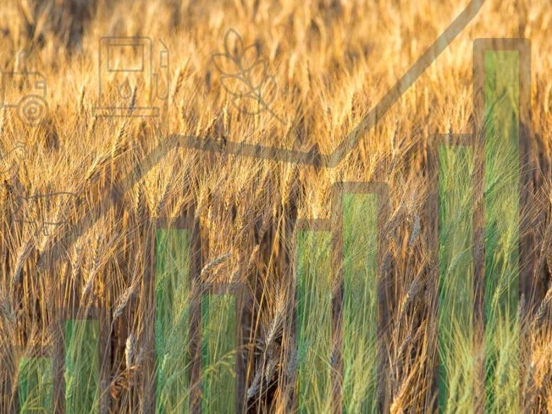 economics of farming
