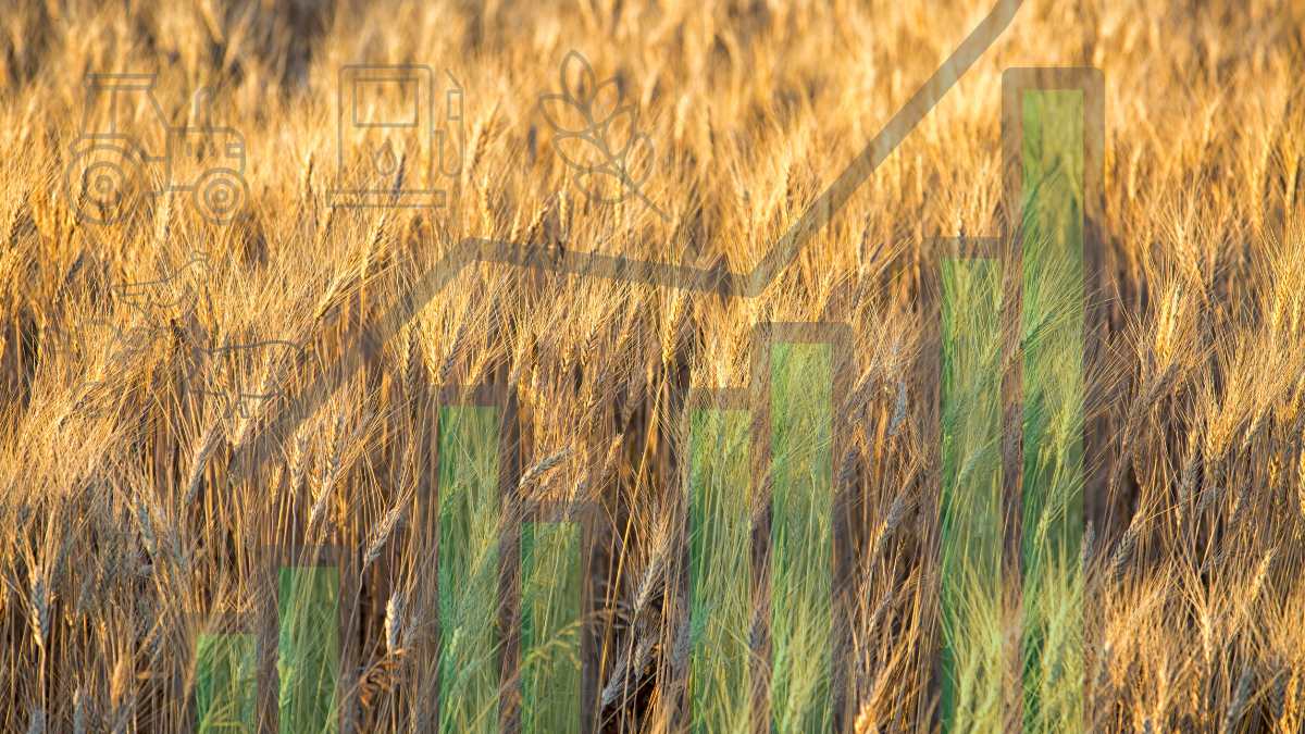 economics of farming