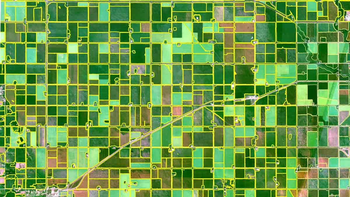 field boundaries digital and Sustainable Agriculture