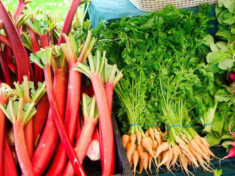 Buying-Rhubarb