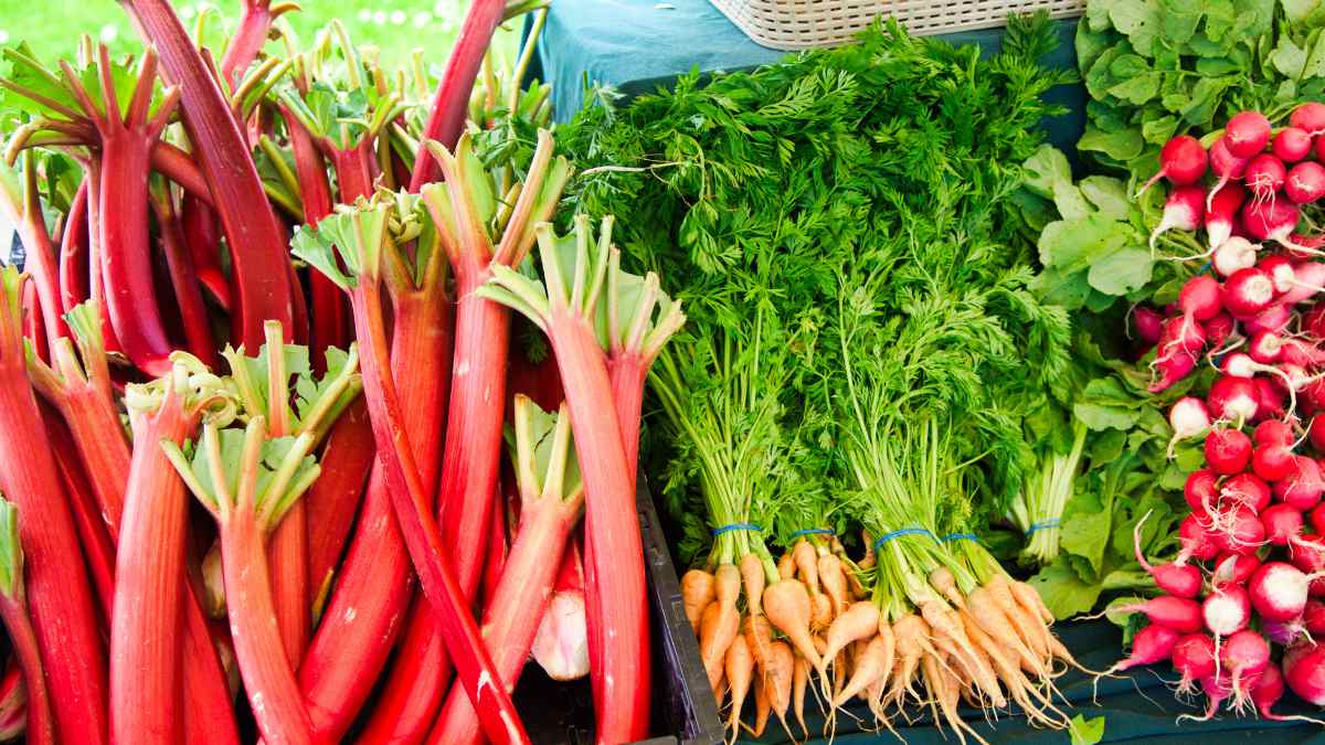 Buying-Rhubarb