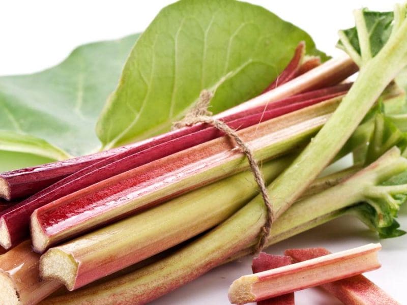 Storing Rhubarb