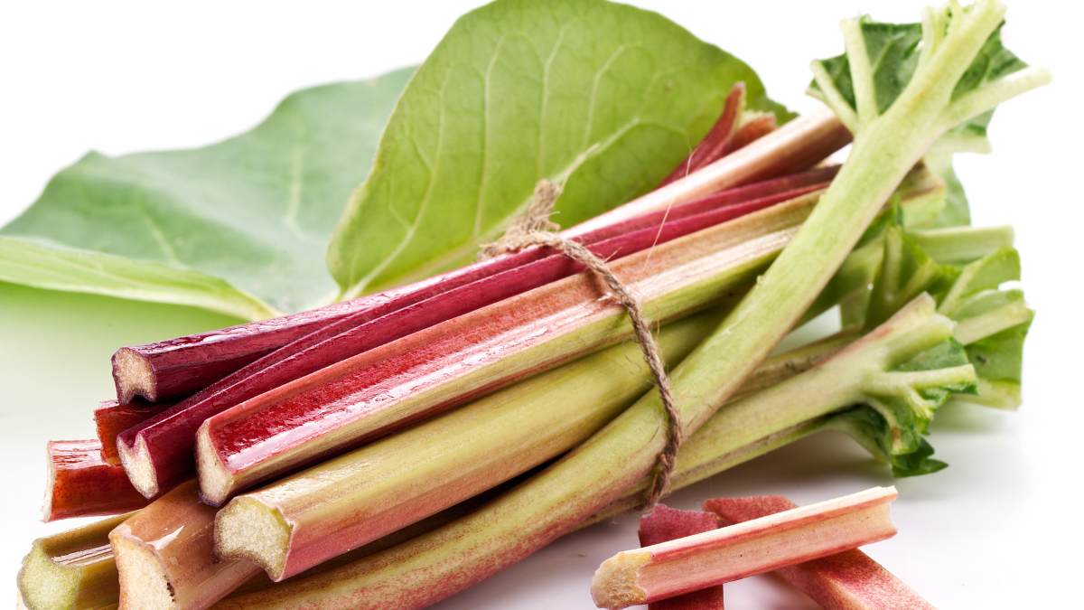 Storing Rhubarb