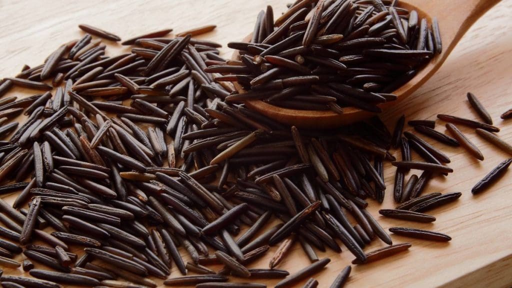 Wild Rice