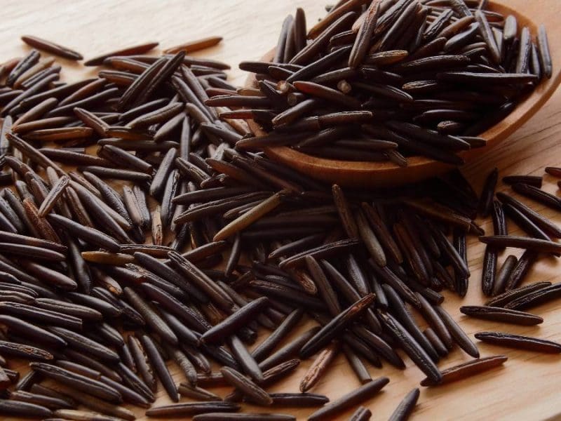 Wild Rice
