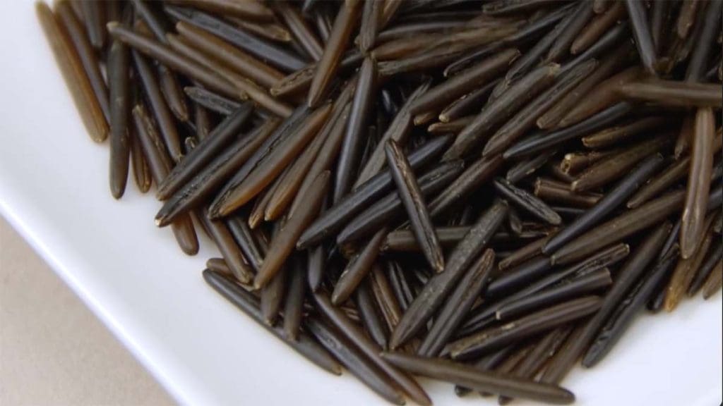 Wild-Rice-Close-Up