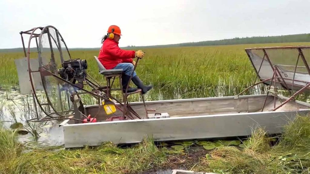 airboats-wildrice-harvestor