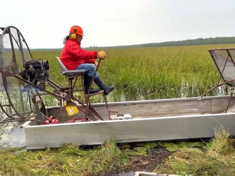 airboats-wildrice-harvestor