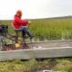 airboats-wildrice-harvestor