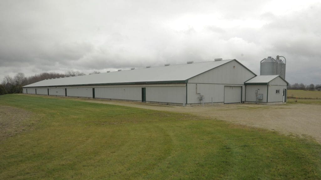broiler barn