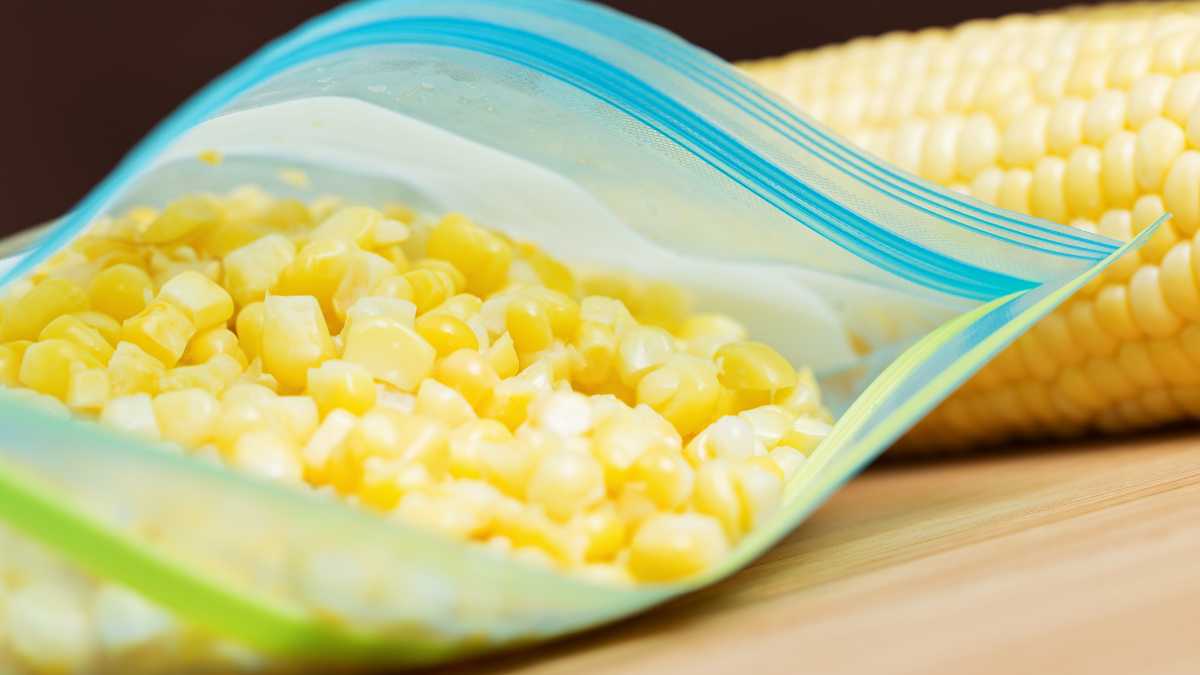 freezing-corn