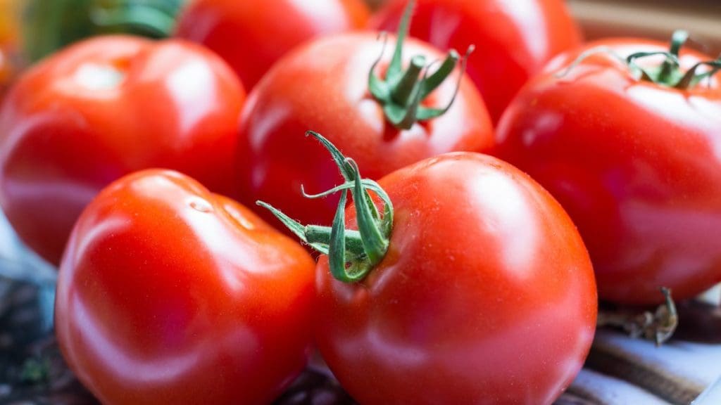 Tomato-storage
