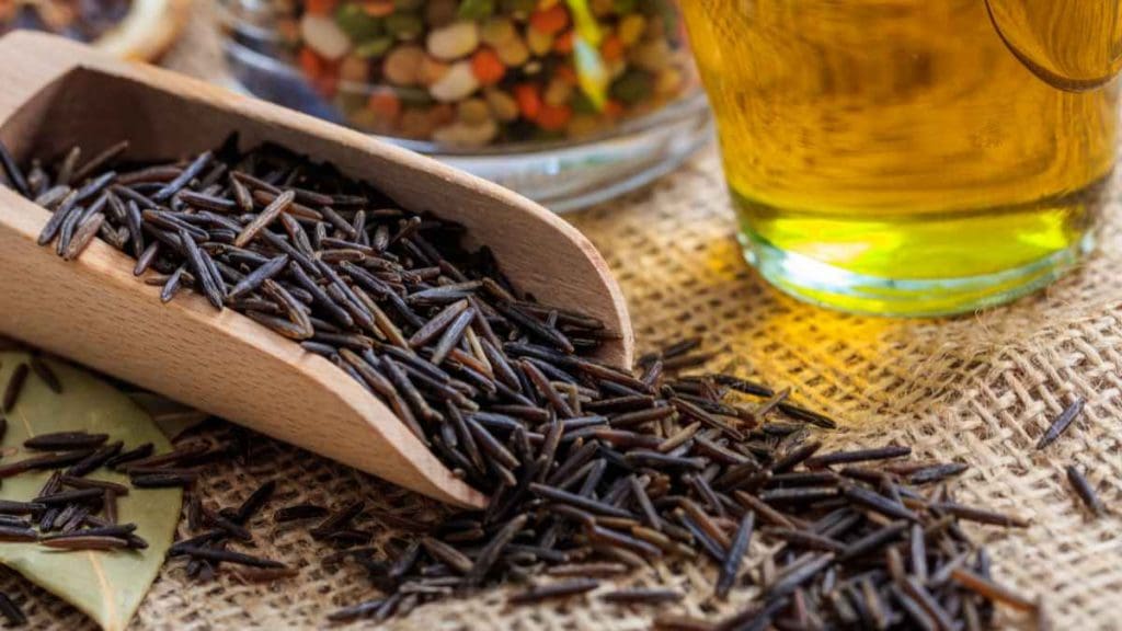 Wild Rice in a spoon