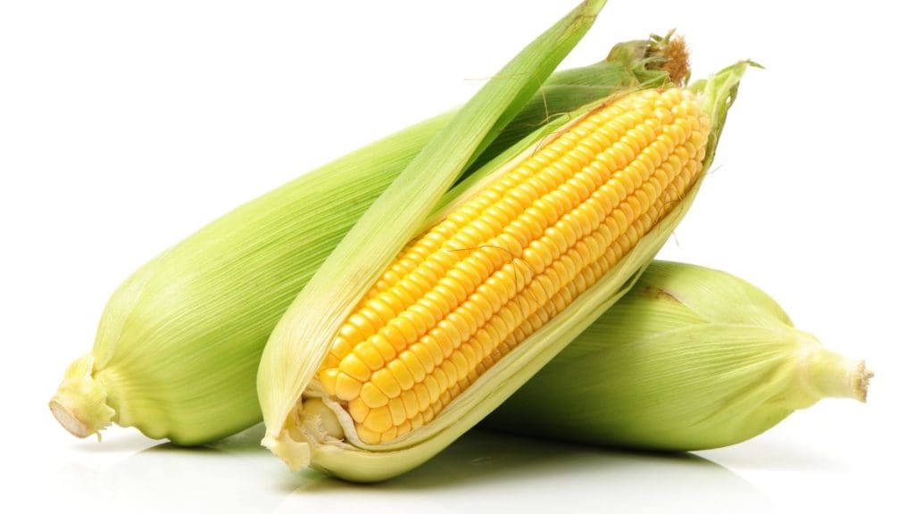Yellow Corn