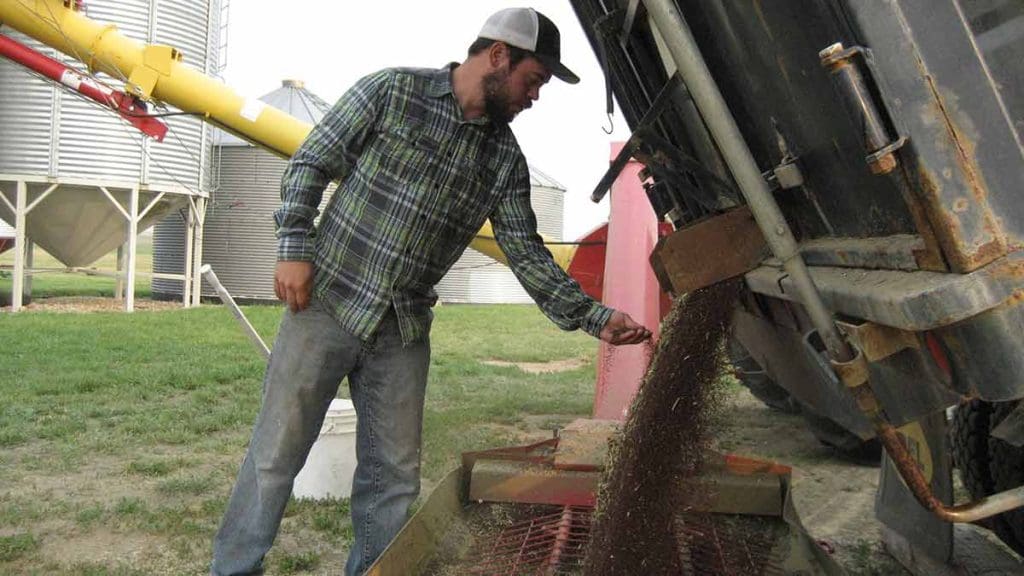 mustard farmer