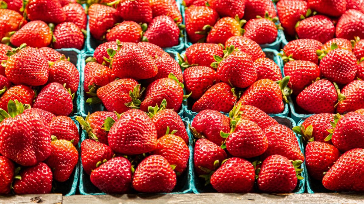 Seasonal Strawwberries