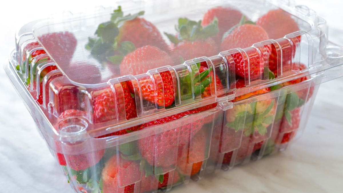 Strawberry Storage