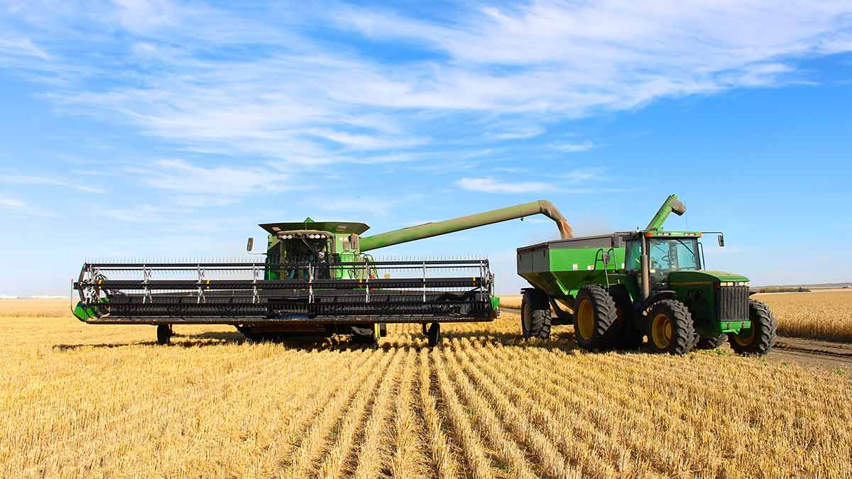 combine and grain cart