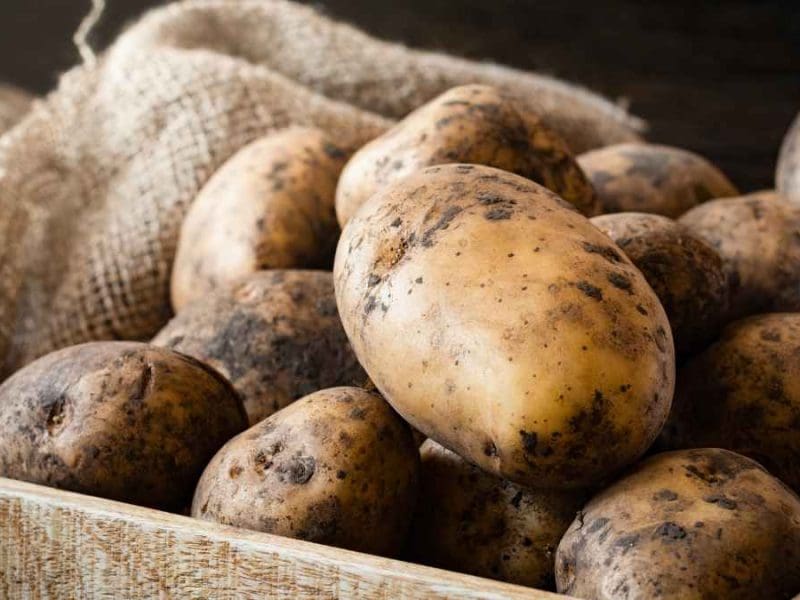 Storing Potatoes
