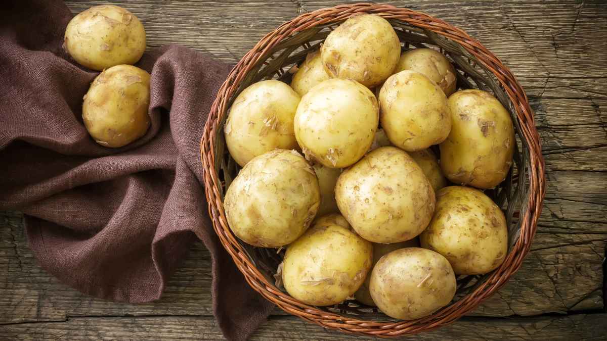 new potato
